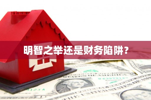 西螺明智之举还是财务陷阱？