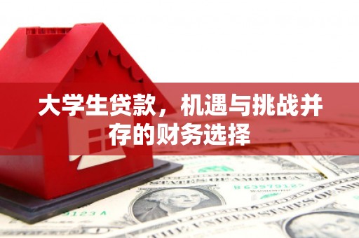 西螺大学生贷款，机遇与挑战并存的财务选择