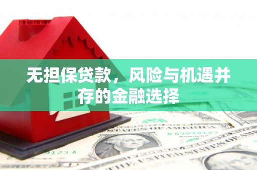 西螺无担保贷款，风险与机遇并存的金融选择