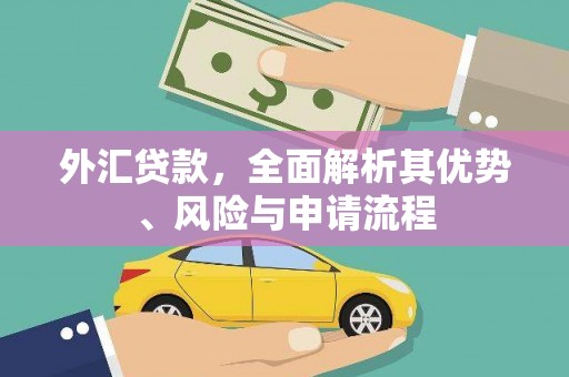 西螺外汇贷款，全面解析其优势、风险与申请流程