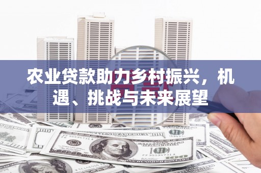 西螺农业贷款助力乡村振兴，机遇、挑战与未来展望
