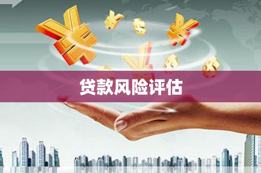 西螺贷款风险评估