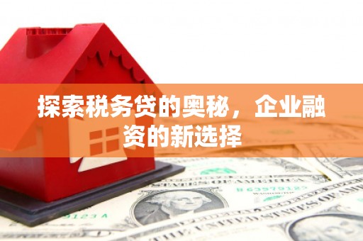 西螺探索税务贷的奥秘，企业融资的新选择