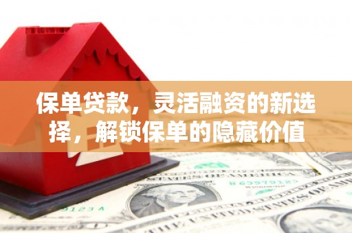 西螺保单贷款，灵活融资的新选择，解锁保单的隐藏价值