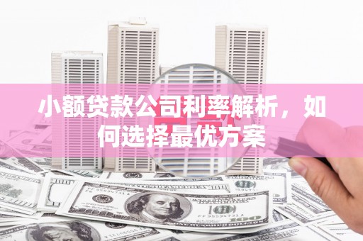 西螺小额贷款公司利率解析，如何选择最优方案