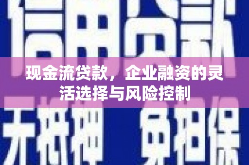 西螺现金流贷款，企业融资的灵活选择与风险控制