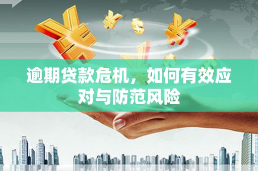 西螺逾期贷款危机，如何有效应对与防范风险