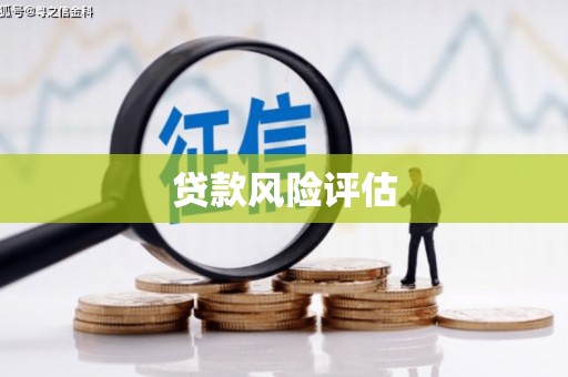 西螺贷款风险评估