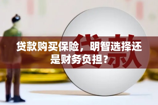 西螺贷款购买保险，明智选择还是财务负担？