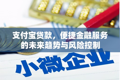 西螺支付宝贷款，便捷金融服务的未来趋势与风险控制