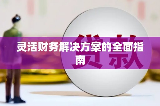 西螺灵活财务解决方案的全面指南