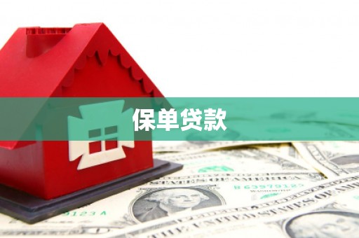西螺保单贷款