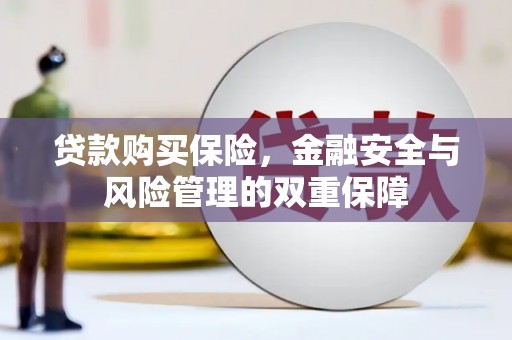 西螺贷款购买保险，金融安全与风险管理的双重保障