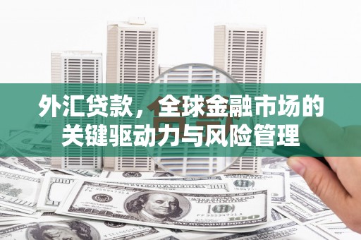 西螺外汇贷款，全球金融市场的关键驱动力与风险管理