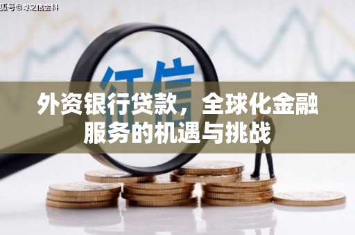 西螺外资银行贷款，全球化金融服务的机遇与挑战