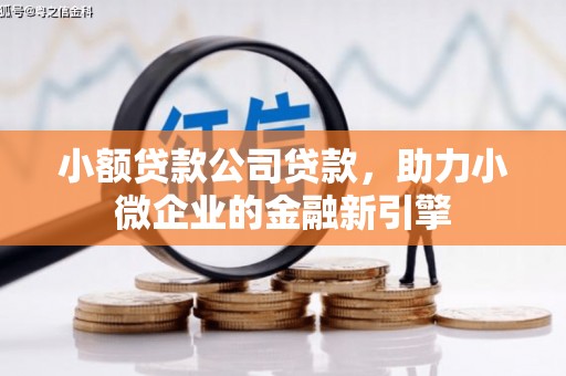 西螺小额贷款公司贷款，助力小微企业的金融新引擎