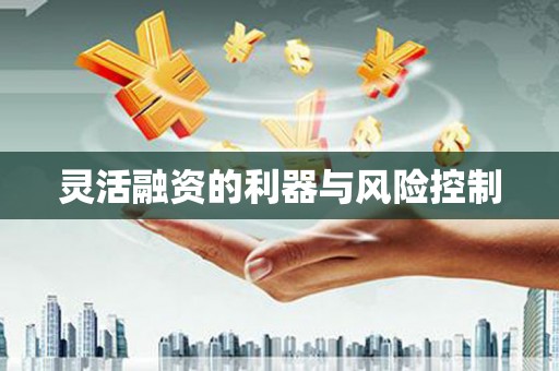 西螺灵活融资的利器与风险控制