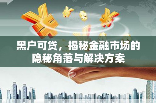 西螺黑户可贷，揭秘金融市场的隐秘角落与解决方案