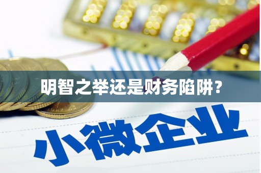 西螺明智之举还是财务陷阱？