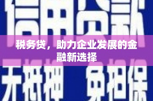 西螺税务贷，助力企业发展的金融新选择