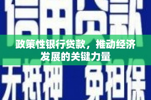 西螺政策性银行贷款，推动经济发展的关键力量