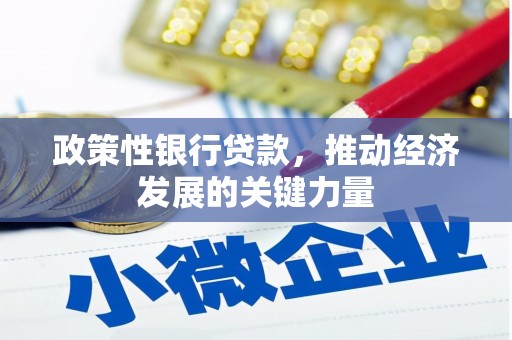 西螺政策性银行贷款，推动经济发展的关键力量