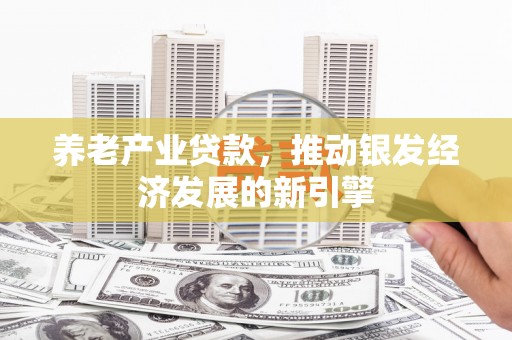 西螺养老产业贷款，推动银发经济发展的新引擎