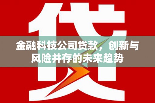 西螺金融科技公司贷款，创新与风险并存的未来趋势