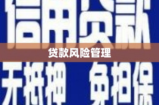 西螺贷款风险管理
