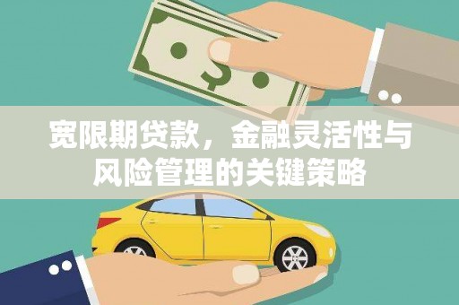 西螺宽限期贷款，金融灵活性与风险管理的关键策略