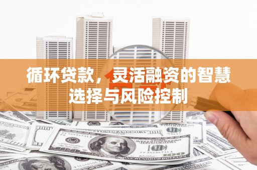 西螺循环贷款，灵活融资的智慧选择与风险控制