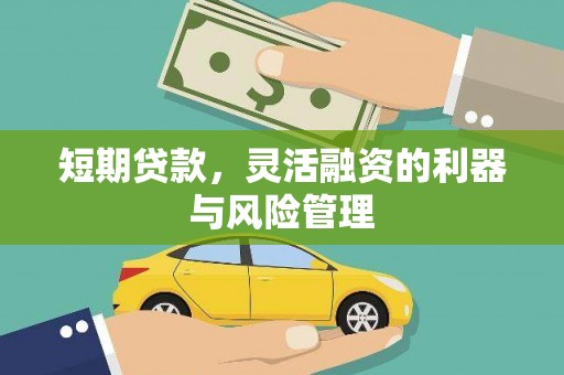 西螺短期贷款，灵活融资的利器与风险管理