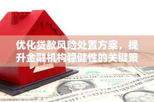 西螺优化贷款风险处置方案，提升金融机构稳健性的关键策略