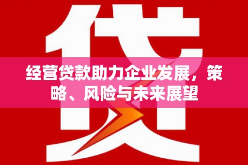 西螺经营贷款助力企业发展，策略、风险与未来展望