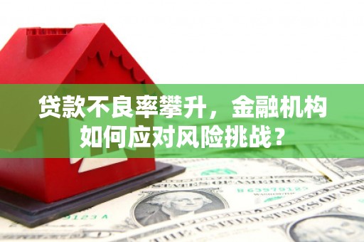 西螺贷款不良率攀升，金融机构如何应对风险挑战？