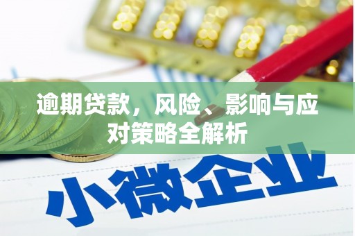 西螺逾期贷款，风险、影响与应对策略全解析