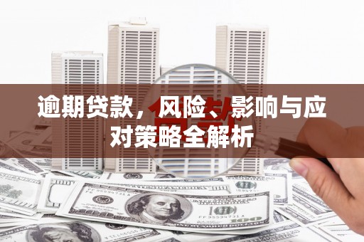 西螺逾期贷款，风险、影响与应对策略全解析