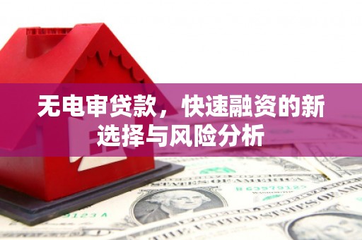 西螺无电审贷款，快速融资的新选择与风险分析