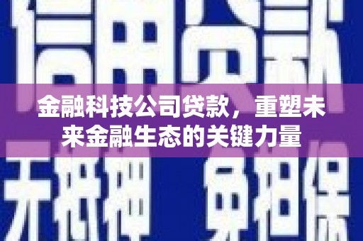 西螺金融科技公司贷款，重塑未来金融生态的关键力量
