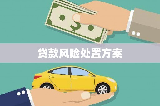 西螺贷款风险处置方案