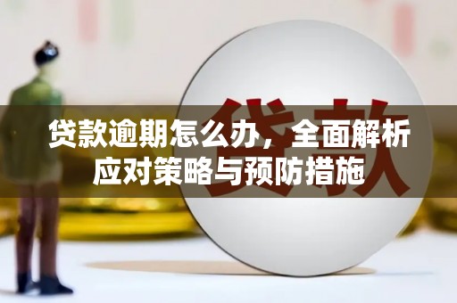 西螺贷款逾期怎么办，全面解析应对策略与预防措施