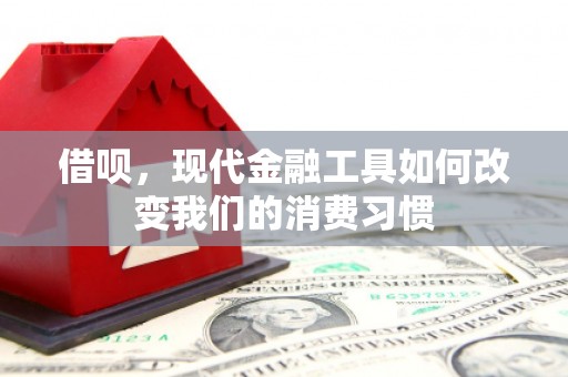西螺借呗，现代金融工具如何改变我们的消费习惯