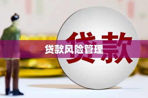 西螺贷款风险管理