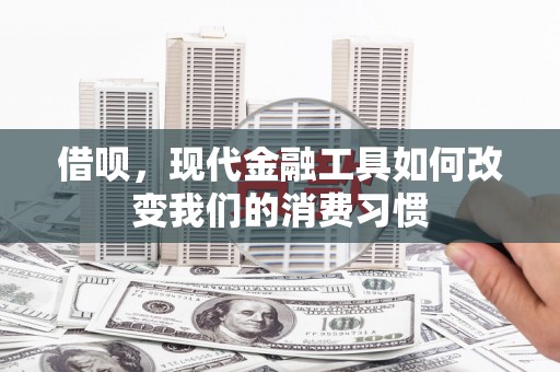 西螺借呗，现代金融工具如何改变我们的消费习惯