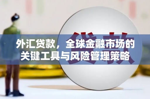 西螺外汇贷款，全球金融市场的关键工具与风险管理策略