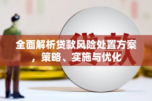 西螺全面解析贷款风险处置方案，策略、实施与优化