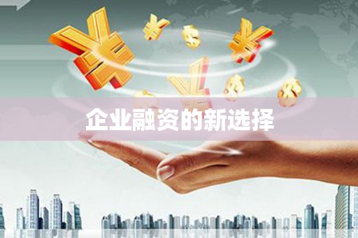 西螺企业融资的新选择