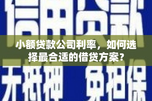 西螺小额贷款公司利率，如何选择最合适的借贷方案？