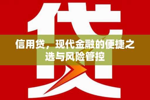 西螺信用贷，现代金融的便捷之选与风险管控