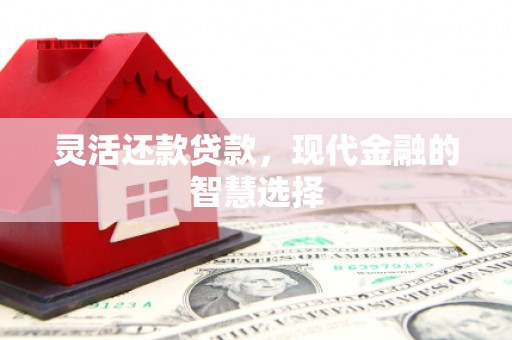 西螺灵活还款贷款，现代金融的智慧选择
